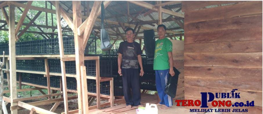 Tingkatkan Pendapatan Desa,Pemdes Karang Tengah Siap Buka Usaha Ayam Petelur