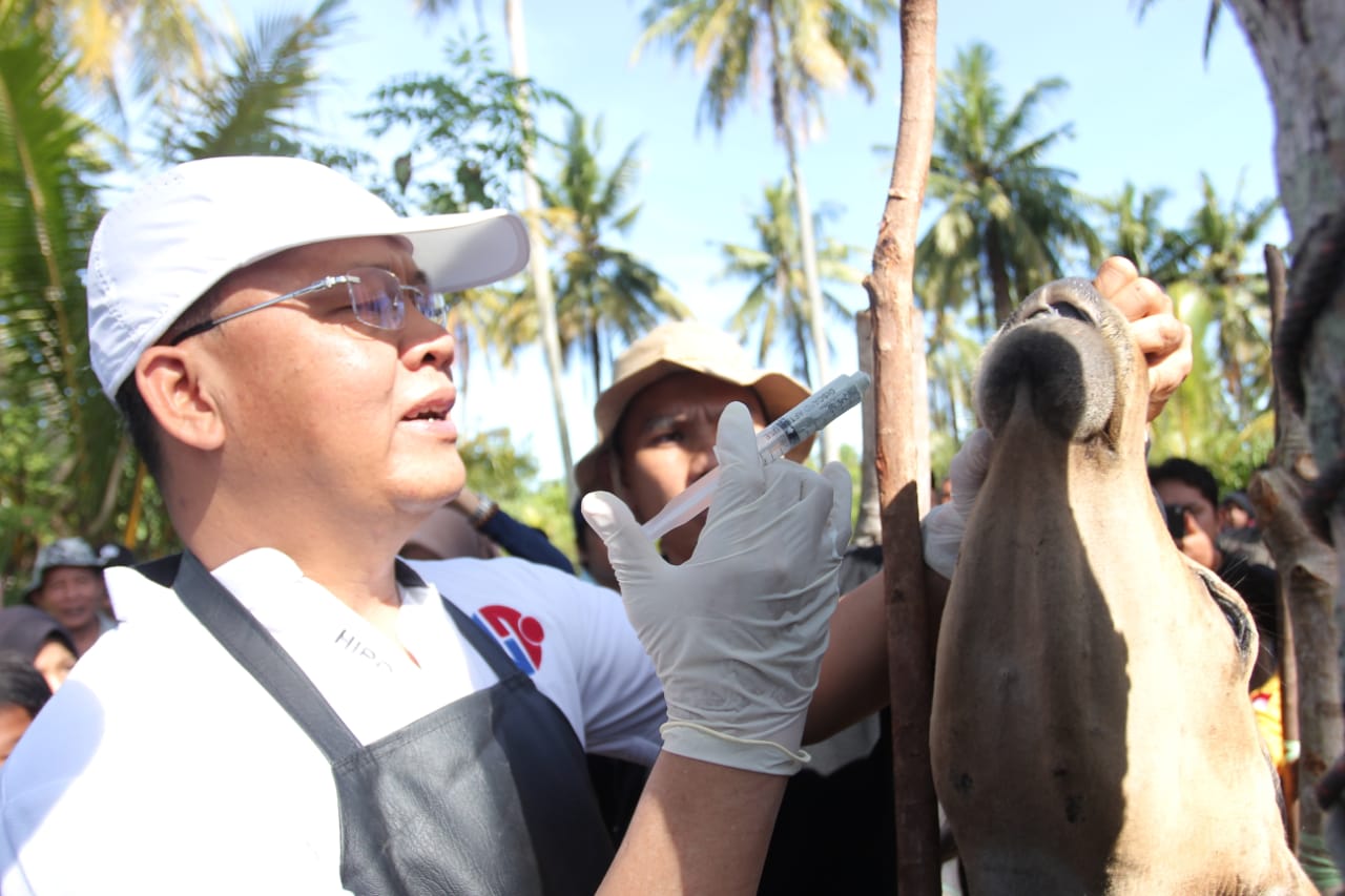 Gubernur Rohidin Minum Susu Bersama Siswa Hingga Suntik Sapi Ternak