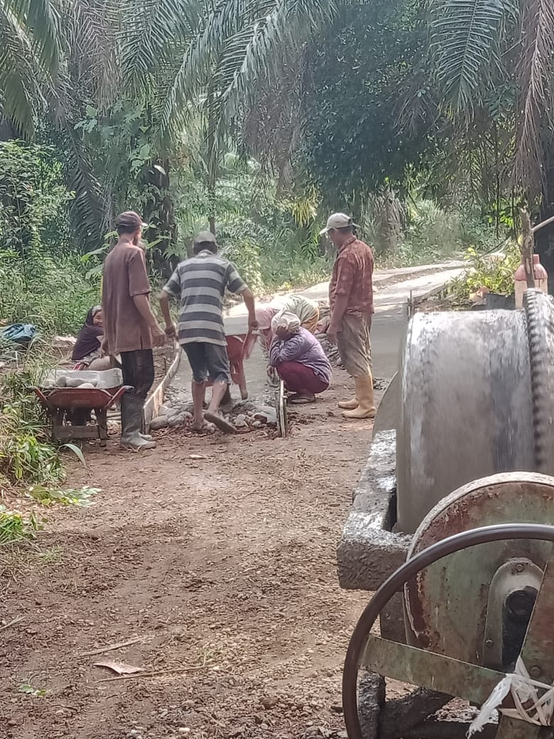 Lewat Dana Desa,Pemdes Retes Bangun Jalan Usaha Tani