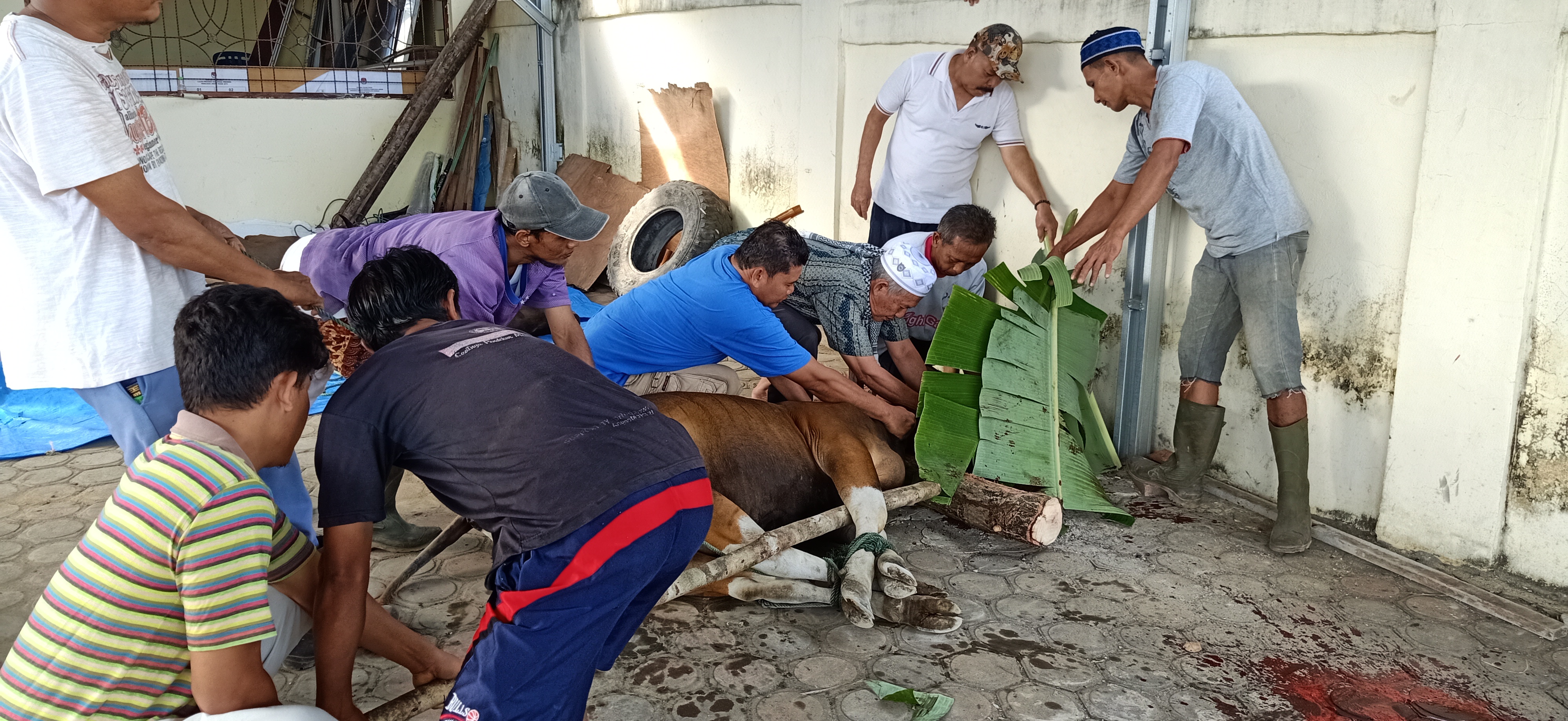 Kota bengkulu