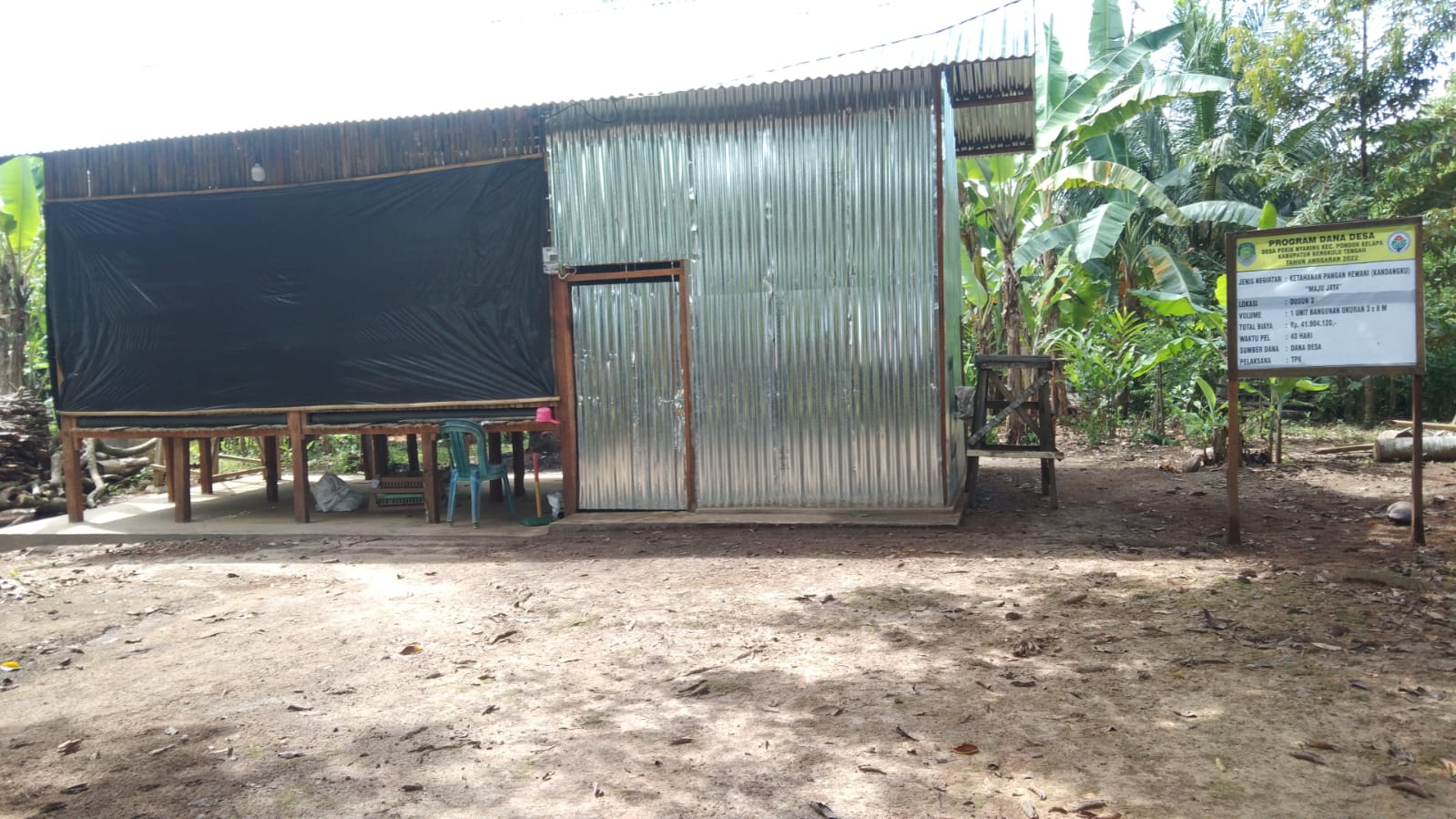 Pemdes Pekik Nyaring Laksanakan Kegiatan Ketahanan Pangan Hewani Dengan Beternak Ayam Untuk Tingkatkan Perekonomian Warga