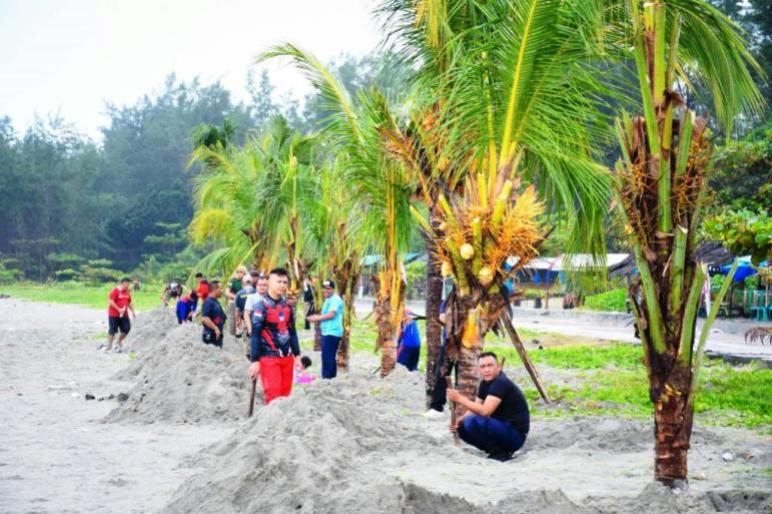 Program GEMPALA Pemkot Bengkulu Mulai Berbuah, Pantai Panjang Kian Asri dan Produktif